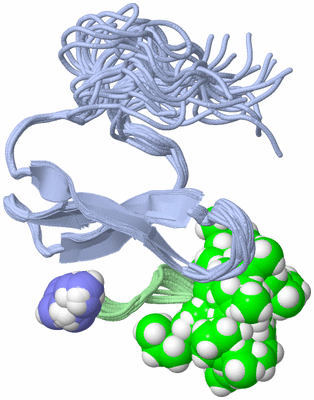 Image NMR Structure - all models