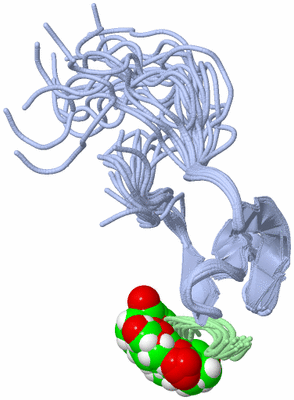 Image NMR Structure - all models