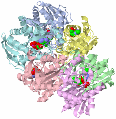 Image Asym./Biol. Unit