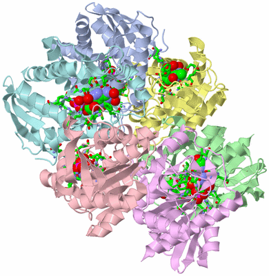 Image Asym./Biol. Unit - sites