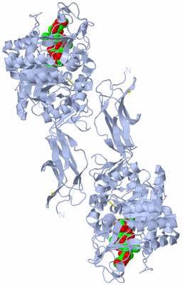 Image Biological Unit 1