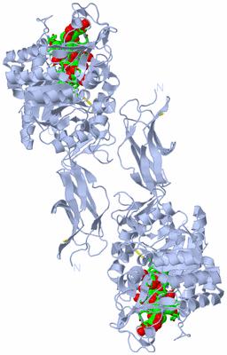 Image Biol. Unit 1 - sites