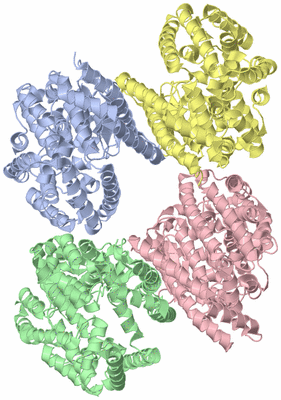 Image Asymmetric Unit
