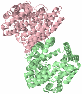 Image Biological Unit 2