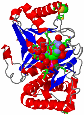 Image Asym./Biol. Unit - sites