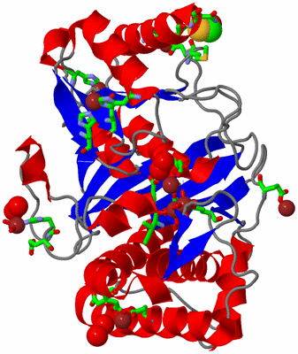 Image Asym./Biol. Unit - sites