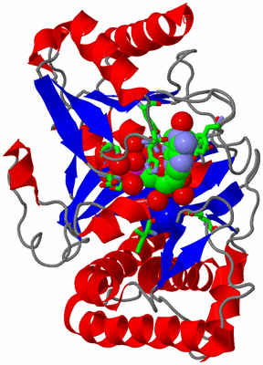 Image Asym./Biol. Unit - sites