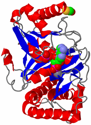 Image Asym./Biol. Unit