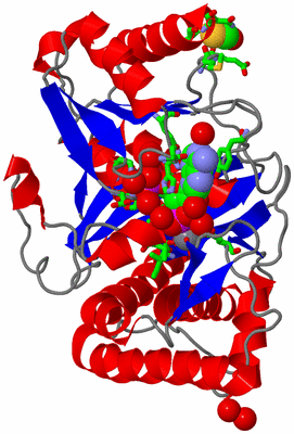 Image Asym./Biol. Unit - sites