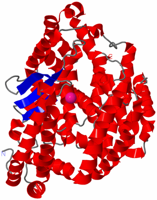Image Asymmetric Unit