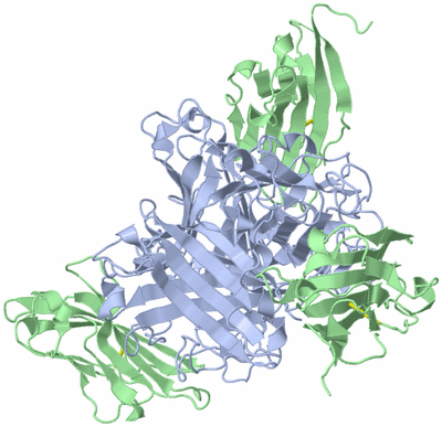 Image Biological Unit 1