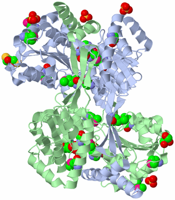 Image Asym./Biol. Unit