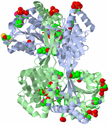 Image Asym./Biol. Unit - sites