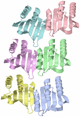 Image Asymmetric Unit
