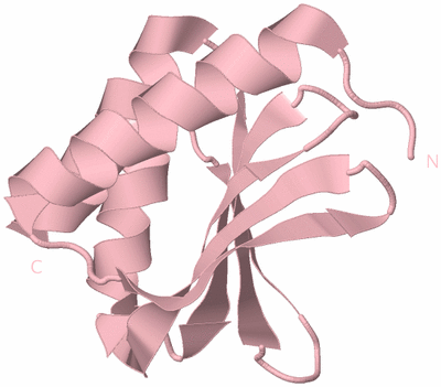Image Biological Unit 3