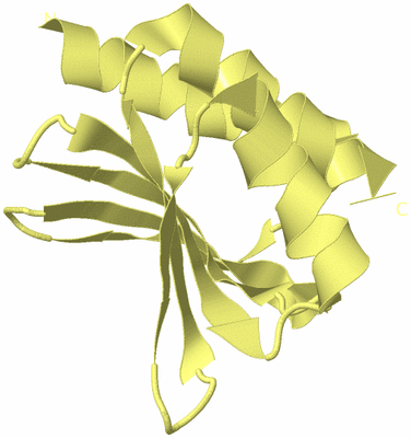 Image Biological Unit 4