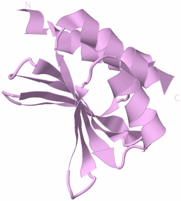 Image Biological Unit 5
