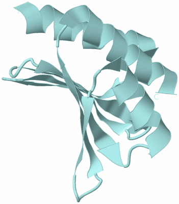 Image Biological Unit 6