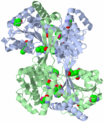 Image Asym./Biol. Unit