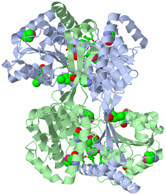 Image Asym./Biol. Unit - sites