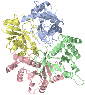 Image Asym./Biol. Unit