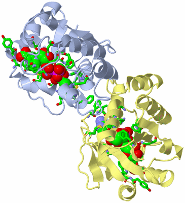 Image Biol. Unit 1 - sites