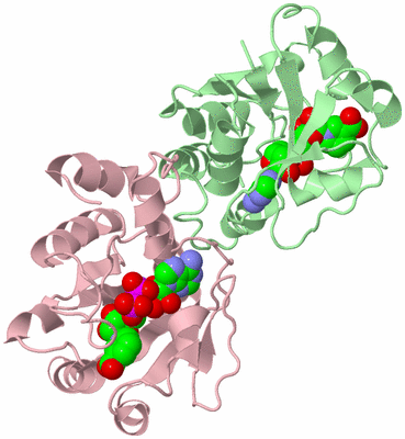 Image Biological Unit 2