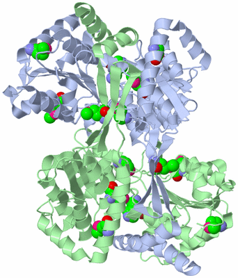 Image Asym./Biol. Unit