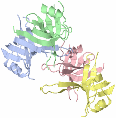 Image Asym./Biol. Unit