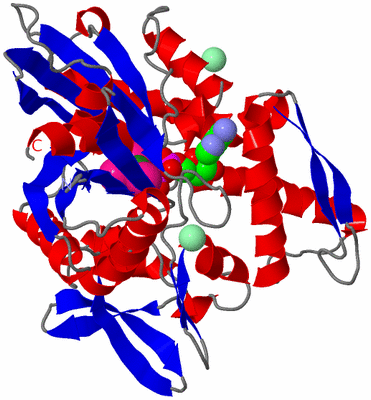 Image Asym./Biol. Unit