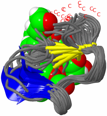 Image NMR Structure - all models