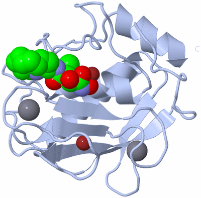 Image Biological Unit 1