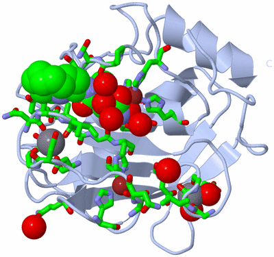 Image Biol. Unit 1 - sites