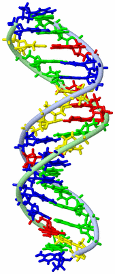 Image NMR Structure - model 1