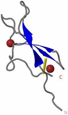 Image NMR Structure - all models