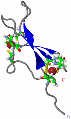 Image NMR Structure - model 1, sites