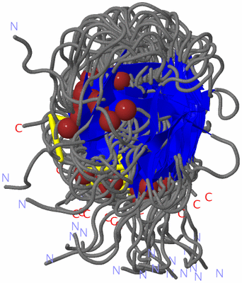 Image NMR Structure - all models