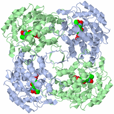 Image Biological Unit 1