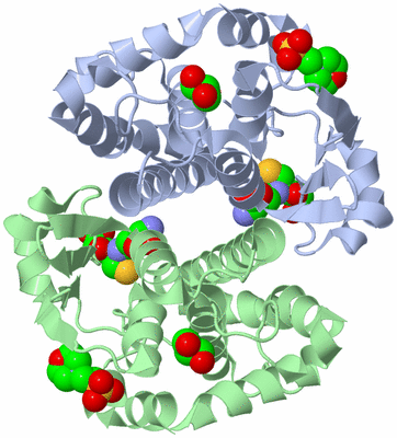 Image Asym./Biol. Unit