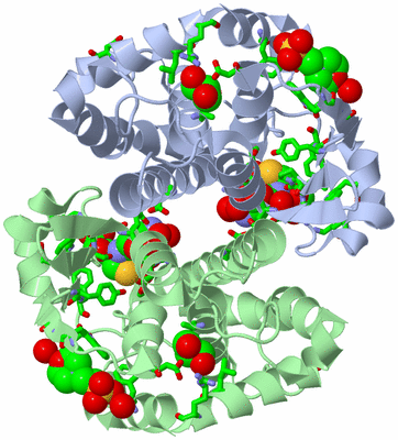 Image Asym./Biol. Unit - sites