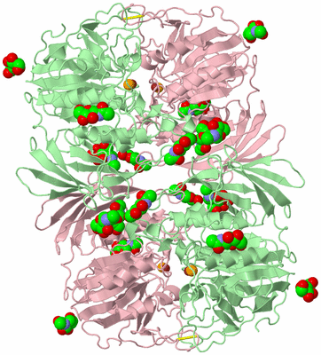 Image Biological Unit 1