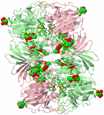 Image Biol. Unit 1 - sites