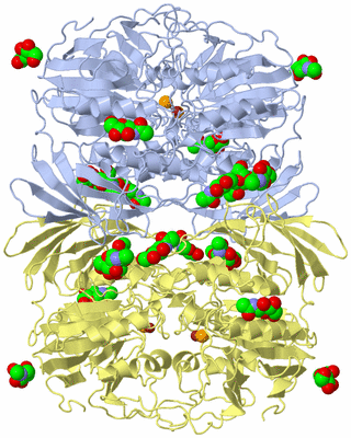 Image Biological Unit 2