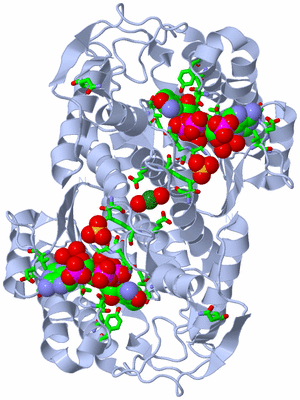 Image Biol. Unit 1 - sites