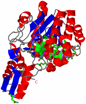 Image Asym. Unit - sites