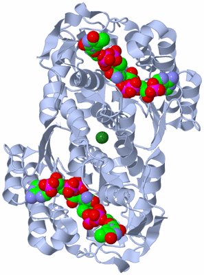 Image Biological Unit 1