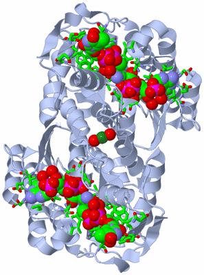 Image Biol. Unit 1 - sites