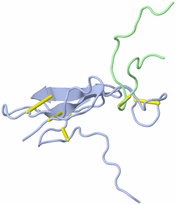 Image NMR Structure - model 1