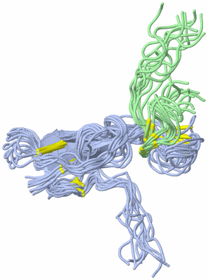 Image NMR Structure - all models