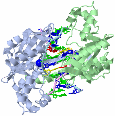 Image Biological Unit 1